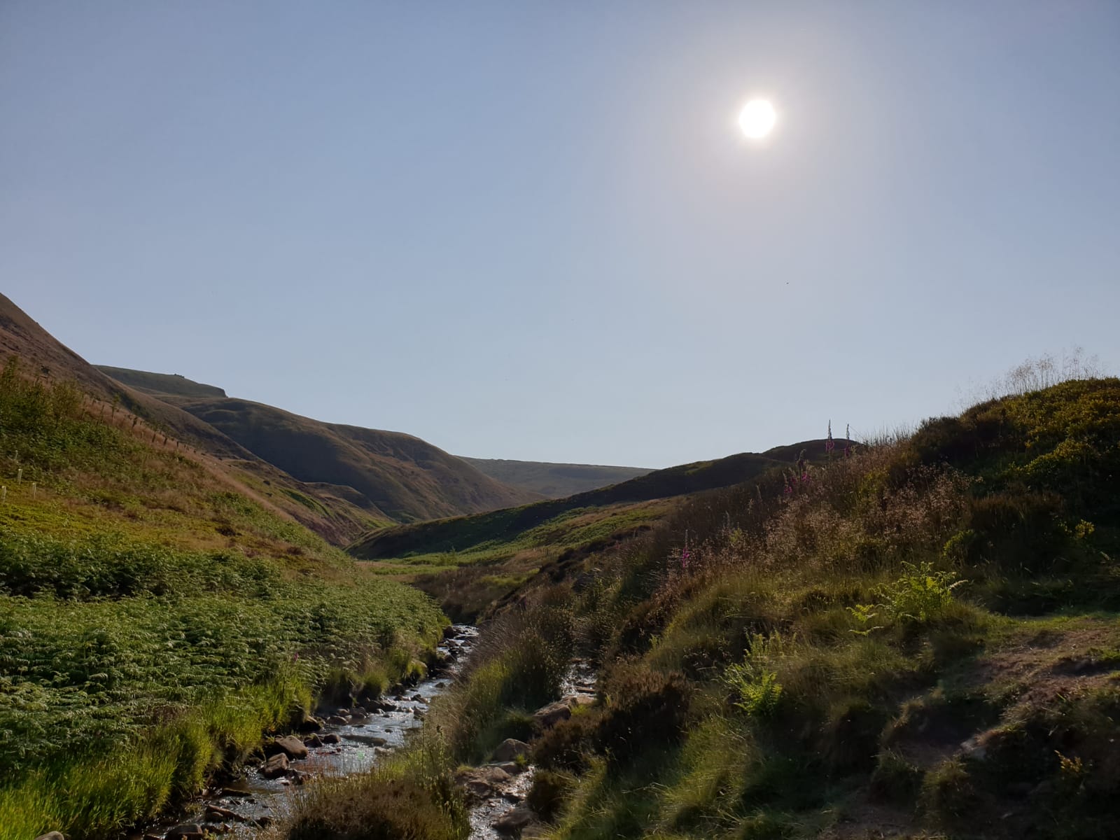 Doctors Gate Fell Race