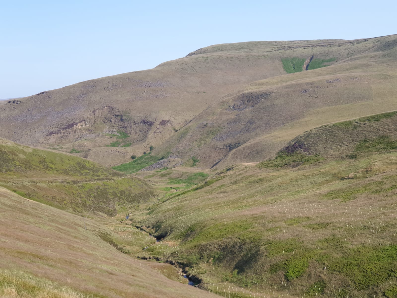 Doctors Gate Fell Race