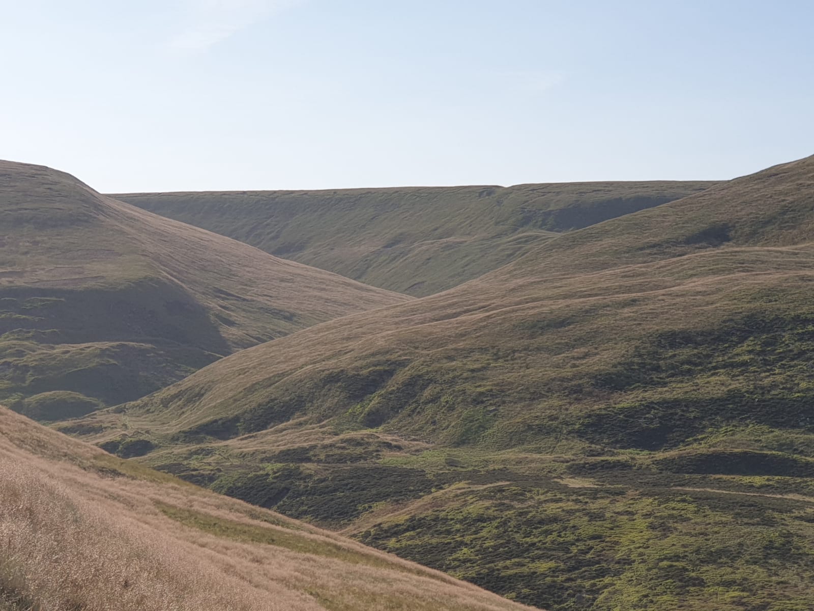 Doctors Gate Fell Race
