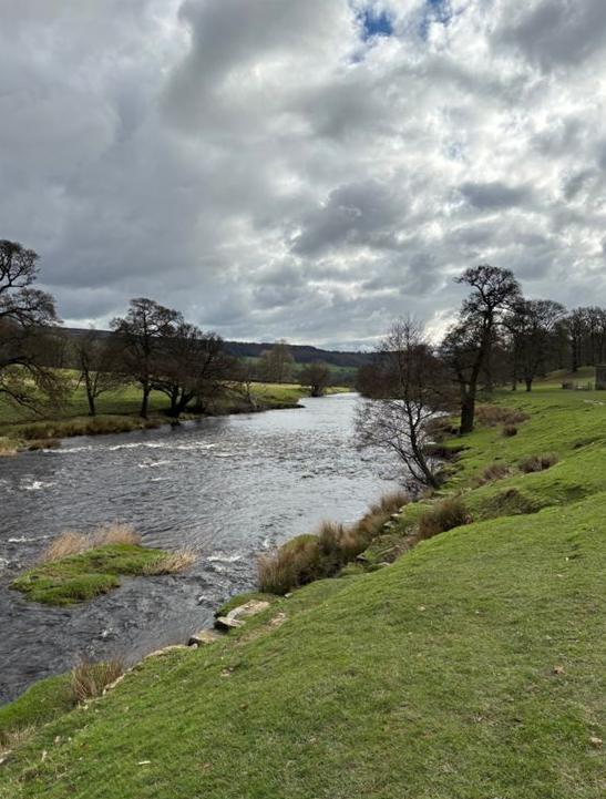 The river running through pasture